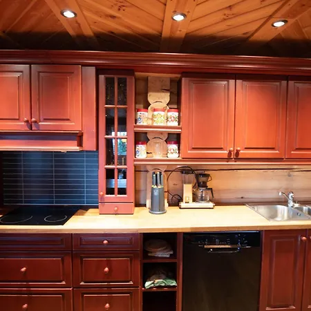 Trysilfjellet Sor 802 *